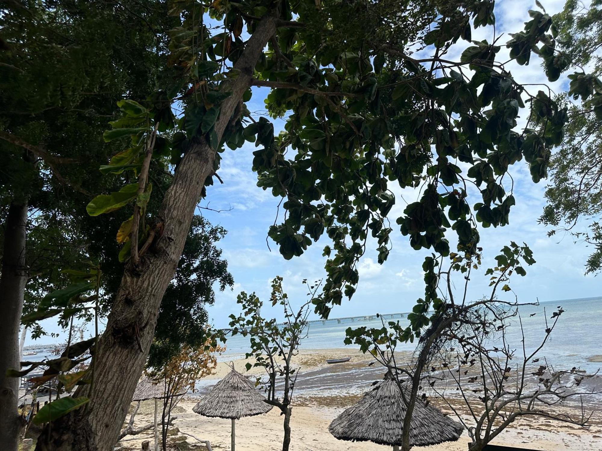 Maweni Beach Bungalows 킬린도니 외부 사진